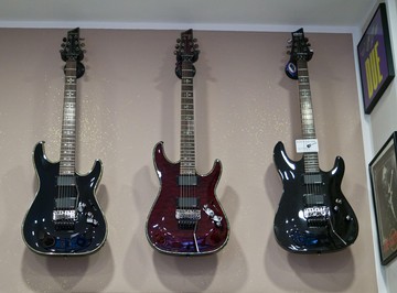 Guitar Shop Torino