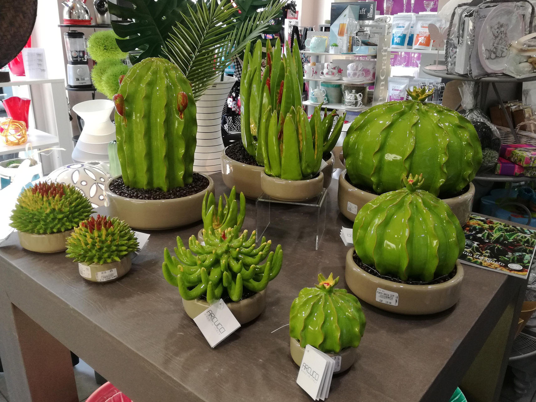 Cactus