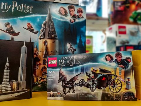 Lego Fantastic Beasts /Harry Potter 