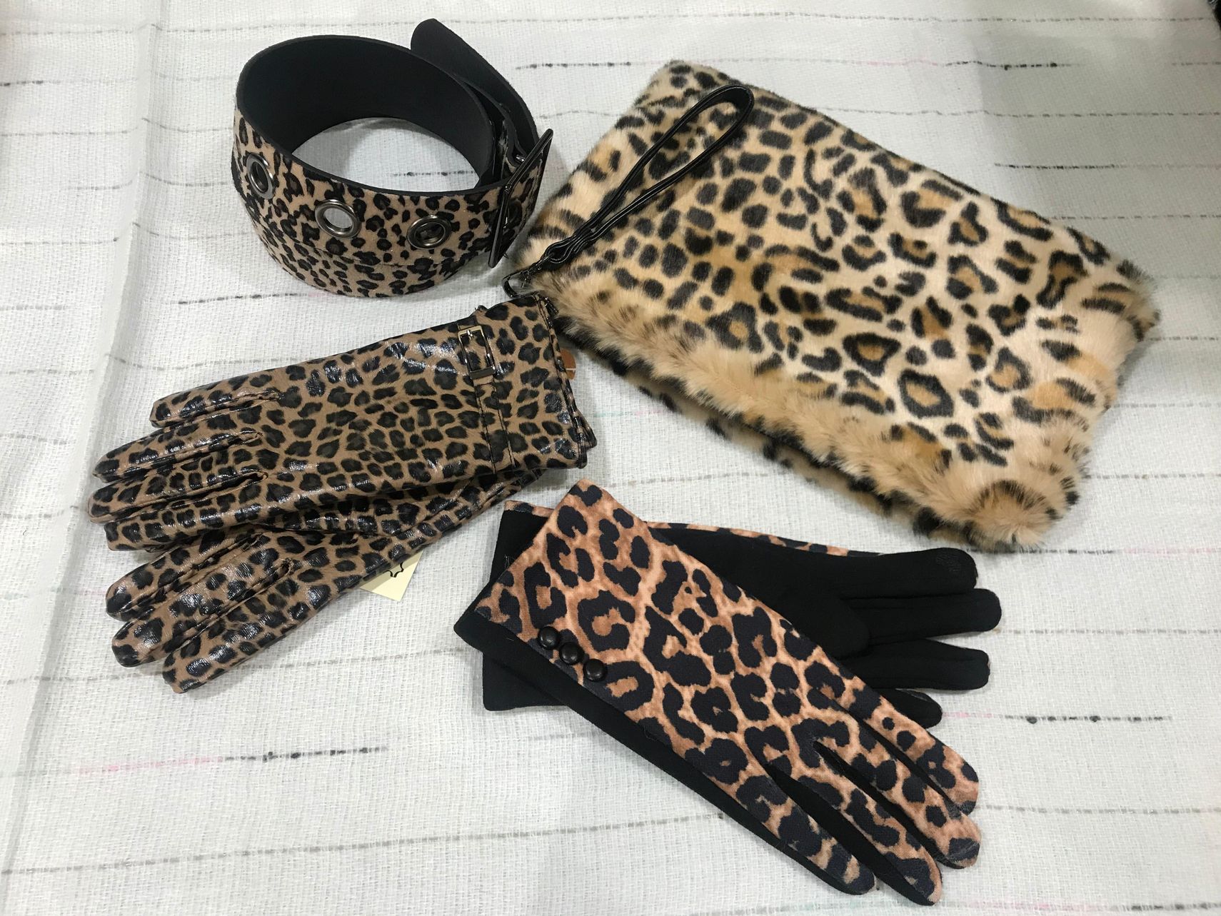 Accessori animalier 