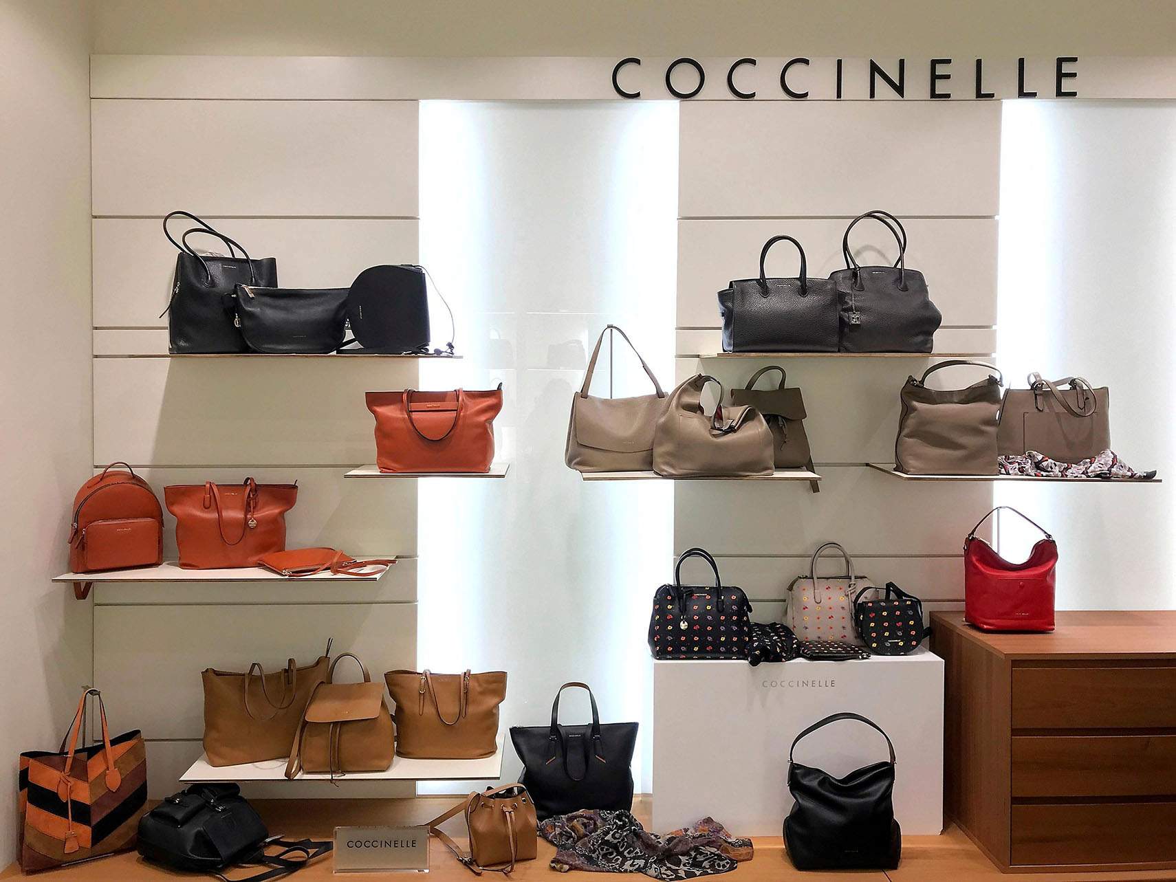 Collezione Coccinelle